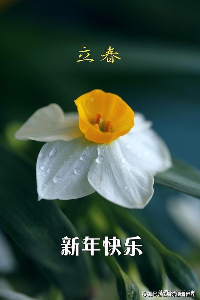 "立春"的由来溯源与文化习俗,你都知道吗?_迎春