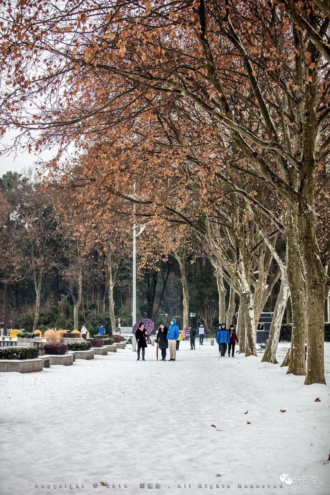 那年冬天雪中的武汉很美