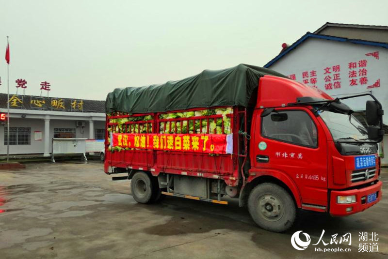 湖北宜都:全心畈村"爱心大白菜"驰援武汉抗疫一线