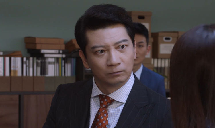精英律师罗槟成为律所主任蓝兰主动献身何赛怒提辞职