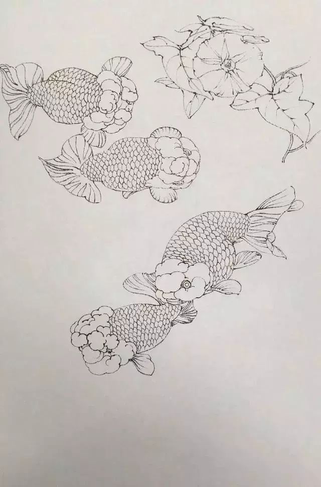 工笔画金鱼超详细的教程要好好学习了