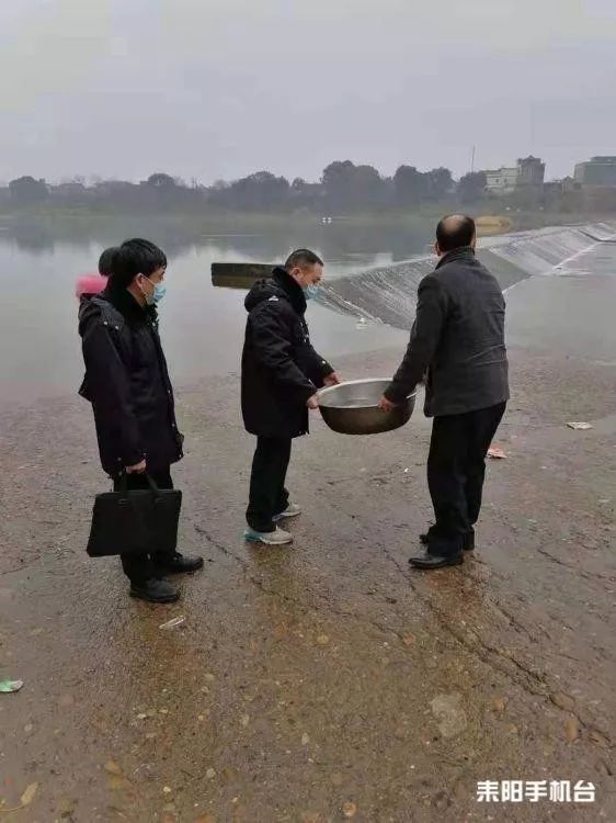 耒陽市發現野生娃娃魚_新市鎮