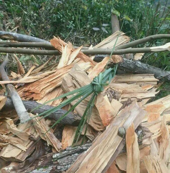 硬核防疫这些苗族草标路障千万不能乱动或越界