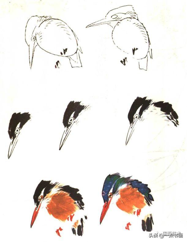 图文教程怎样画翠鸟
