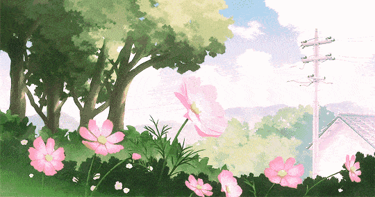 540_284gif 动态图 动图