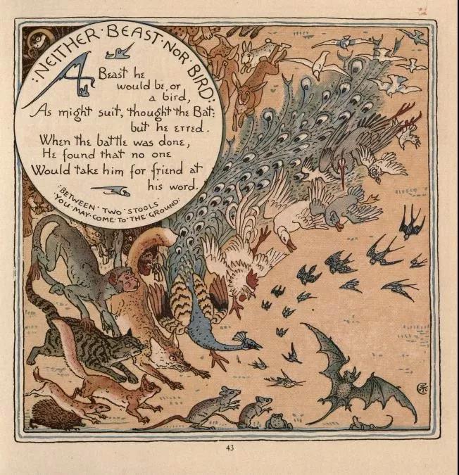 蝙蝠无论艺术中寓意如何你都不能吃我