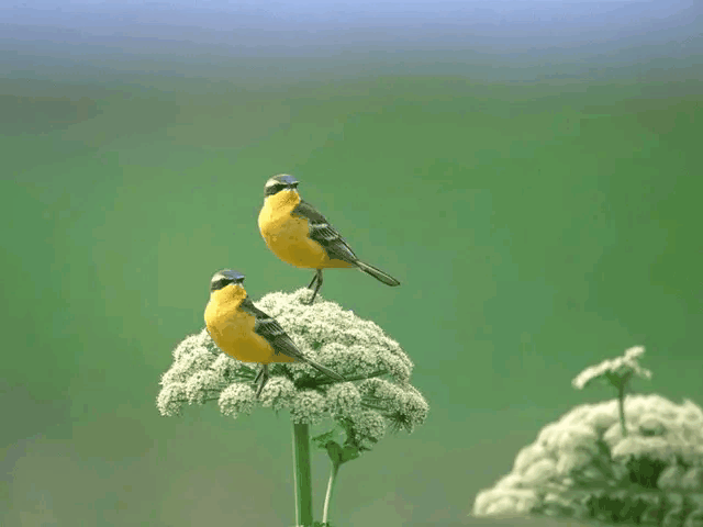 640_480gif 动态图 动图