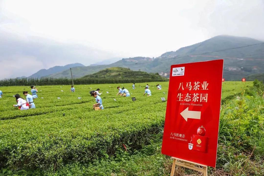 防疫抗疫十万火急八马茶业出手接棒助力防疫战