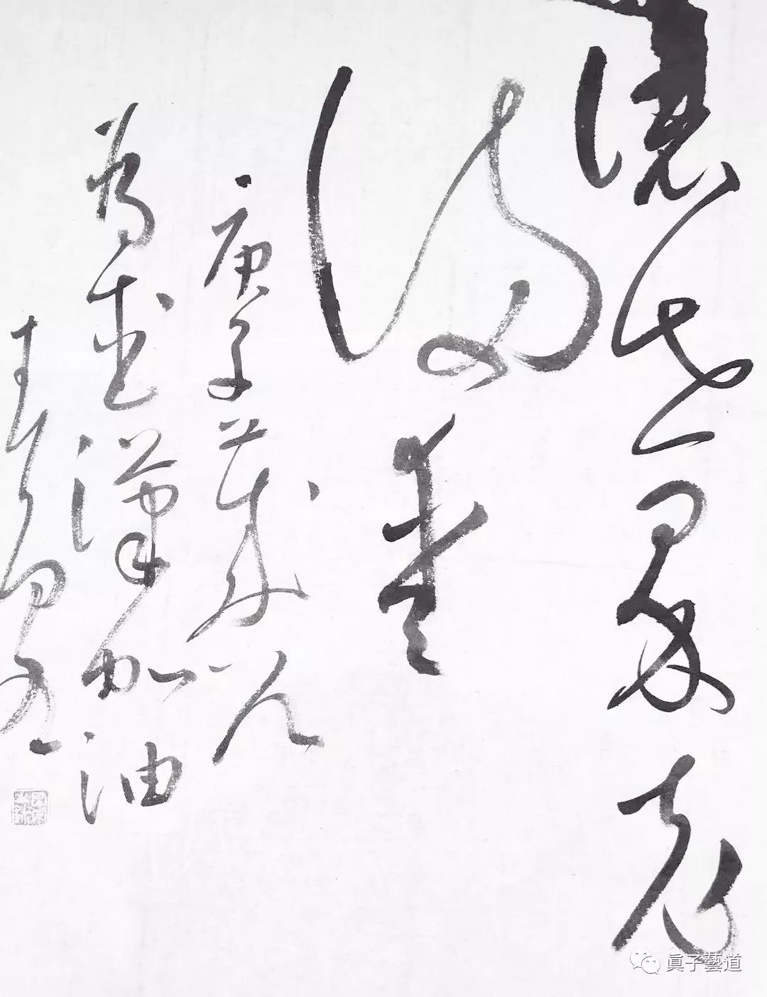 让世界充满爱 第八辑 | 书画印