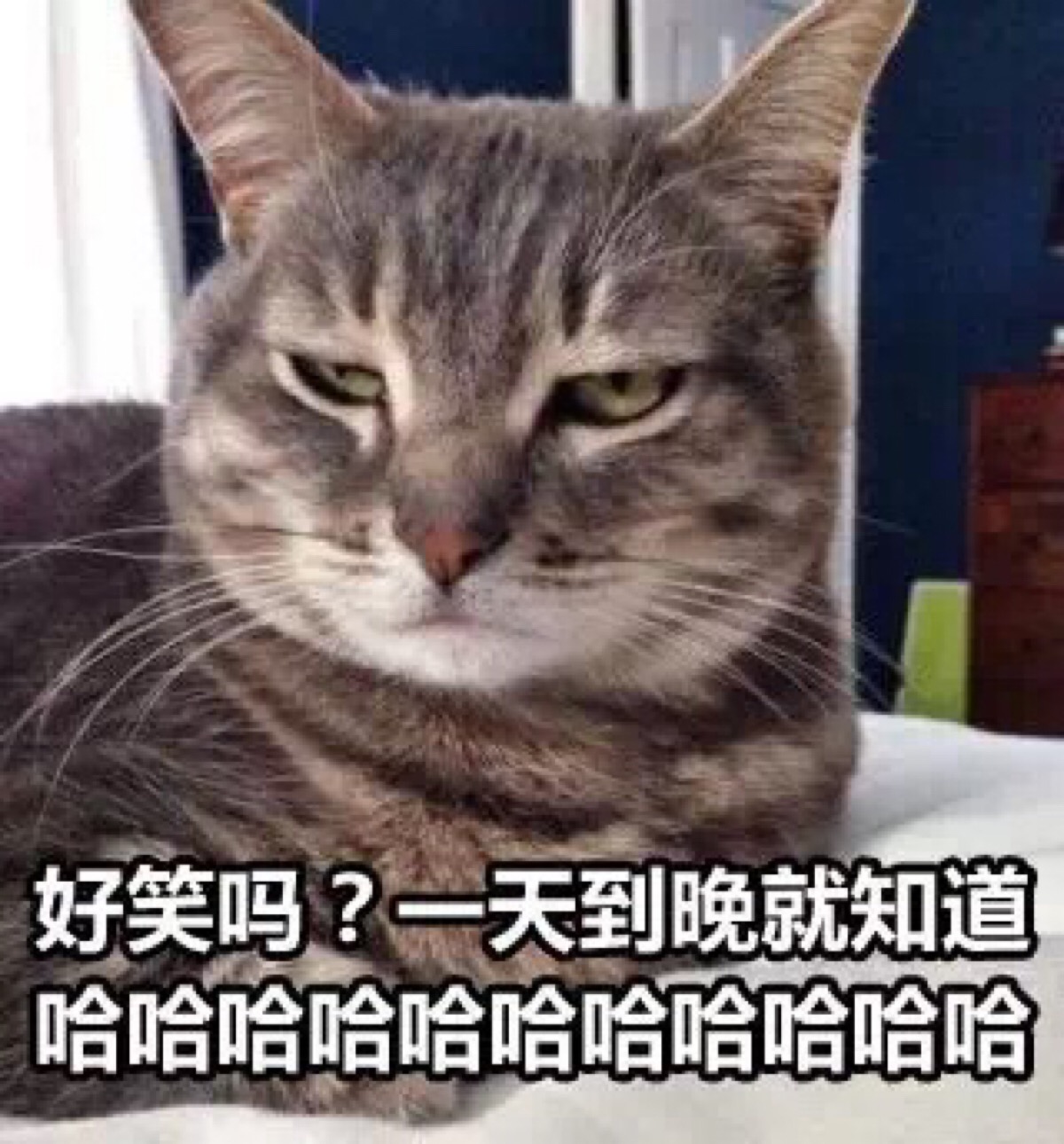 幽默笑話：我好心幫她們 卻被她們趕了出來 搞笑整蠱 第1张