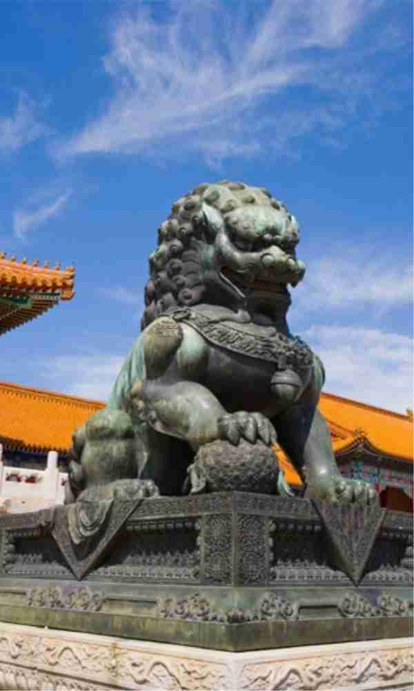 中国的狮子为何不像真实的狮子是整过容的吗