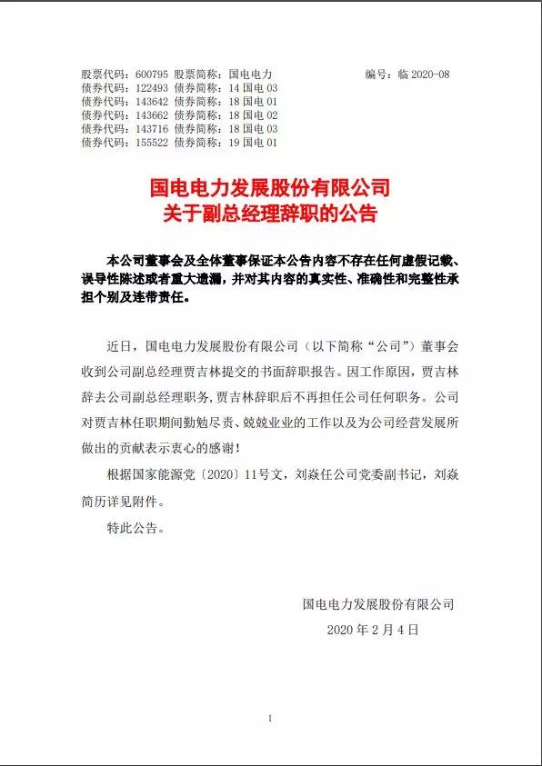 国电电力管理层大地震乔保平谢长军等九位董事监事副总经理辞职