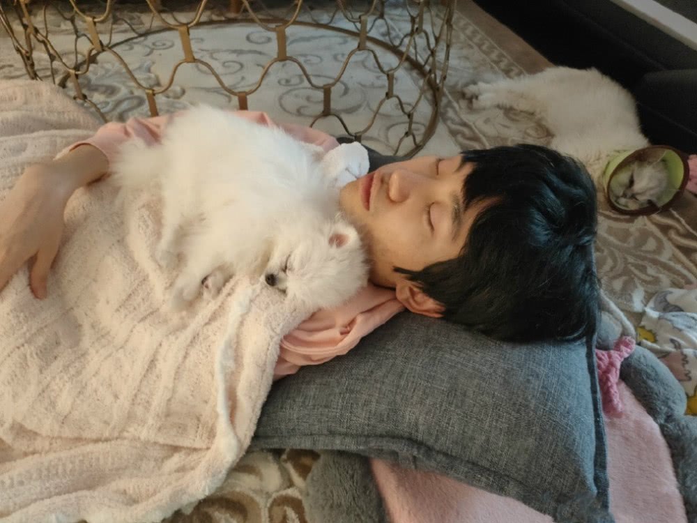 doinb:因为赛区风格的原因 lpl的adc要比lck的强