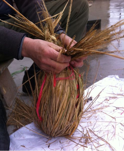 美食战疫小编带你体验湖州味道③阁老毛腌鸡