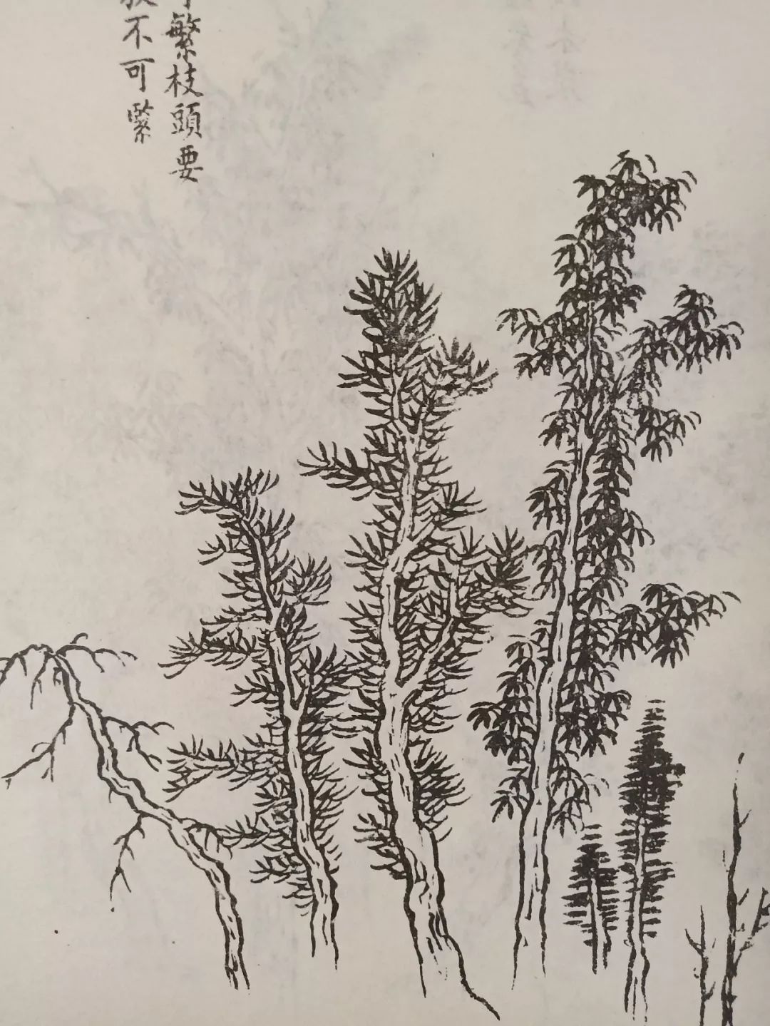 新春特惠肖艳芥子园山水画技法班4幅100元