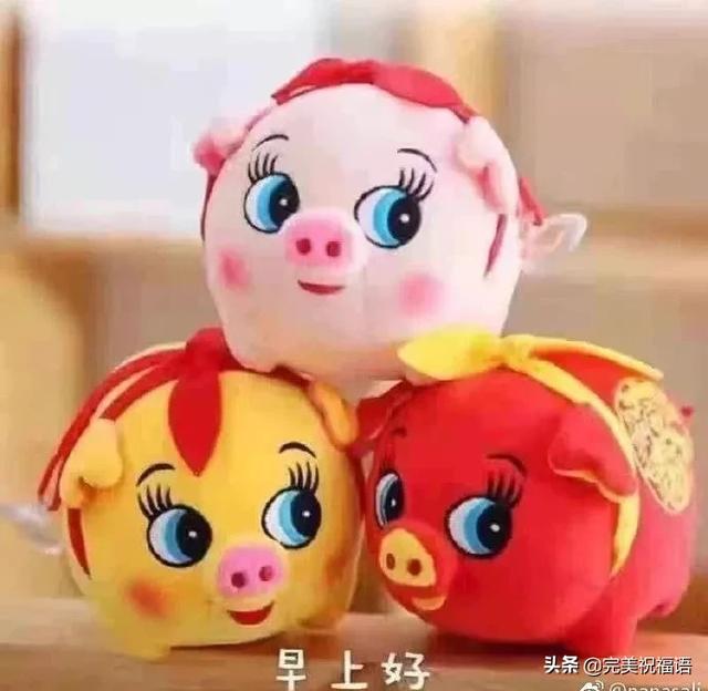 星期三微信朋友圈早安问候语2020年早上好祝福文字表情图片