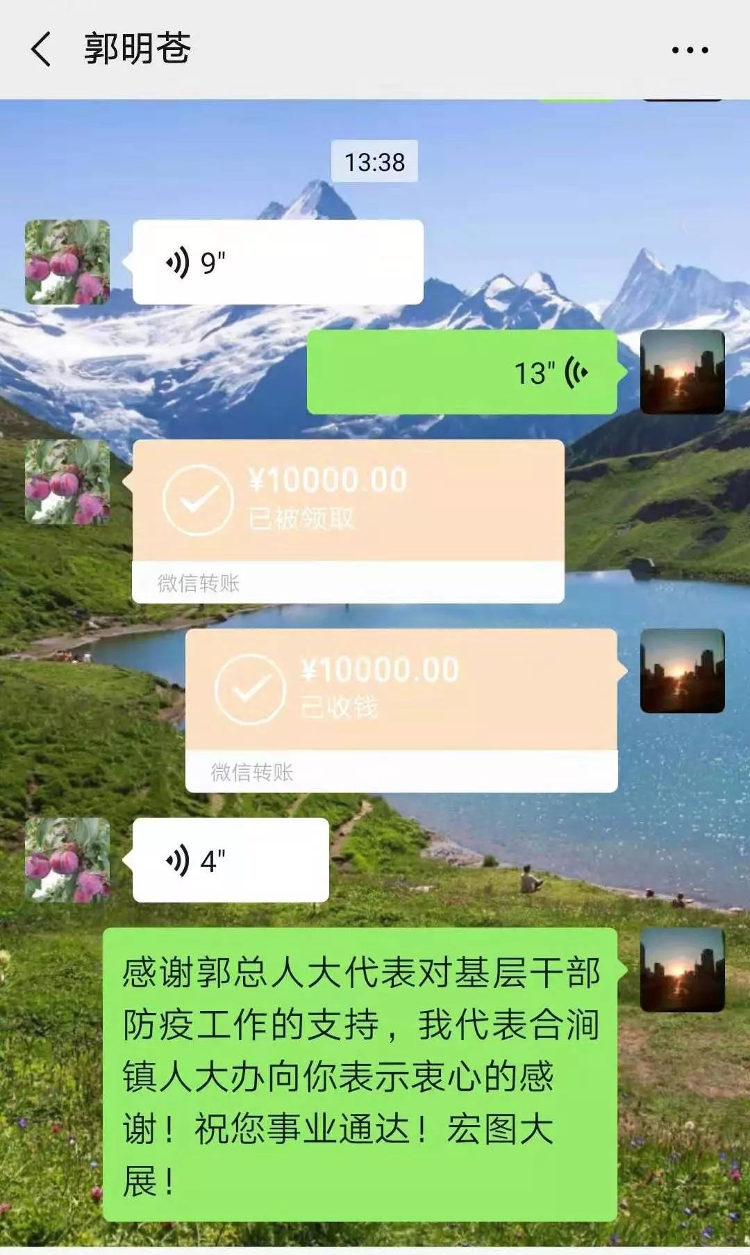 转账二十万的图片图片