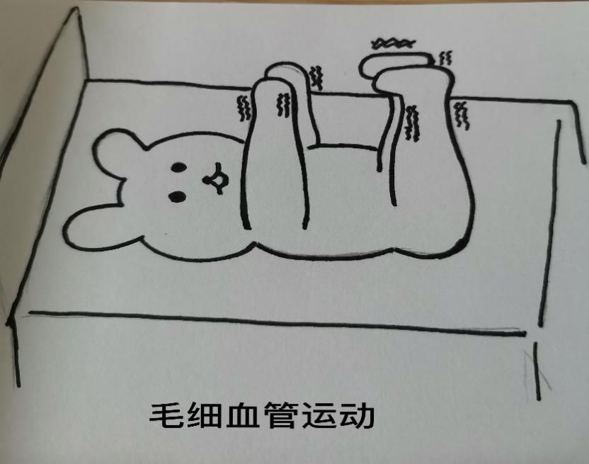 床上运动01是时候,动起来吧~~~赶紧上称让自己清醒一下!