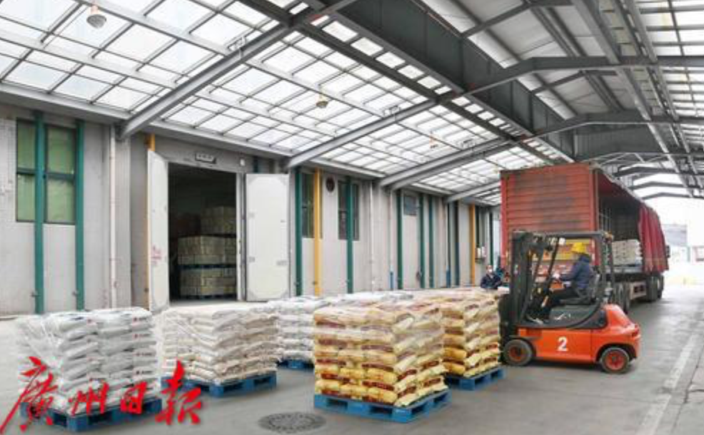 独家探秘广州粮仓解码市民如何有粮在手心中不慌