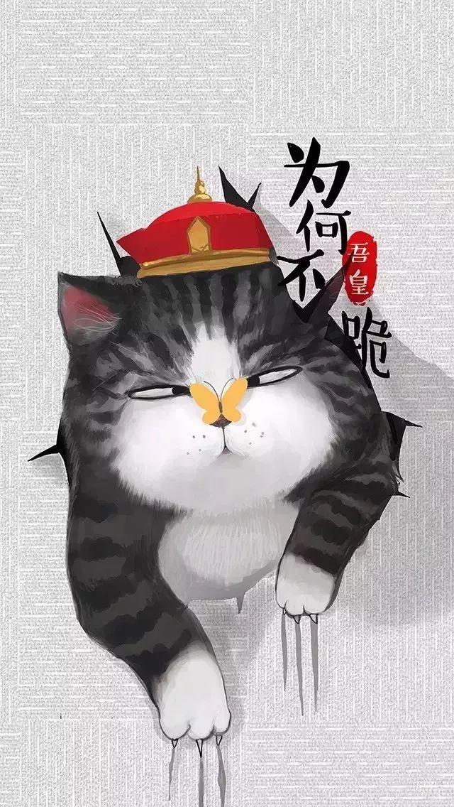 【手机壁纸】吾皇万睡  万睡  万万睡!