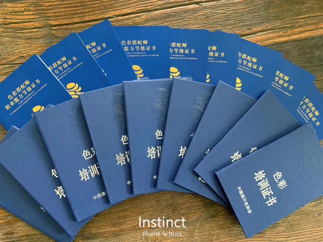 关于暂时开通色彩搭配师职业等级能力培训网络课程的通知