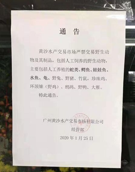 禁运禁售,十几万吨牛蛙无路可走!业界呼吁:分类管理不可一刀切_养殖户