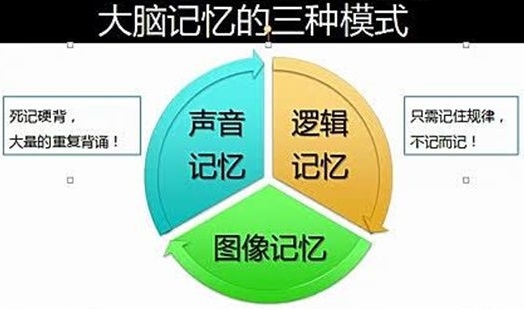 拒绝死记硬背,尊重逻辑规律,学习记忆方法,提高记忆效率