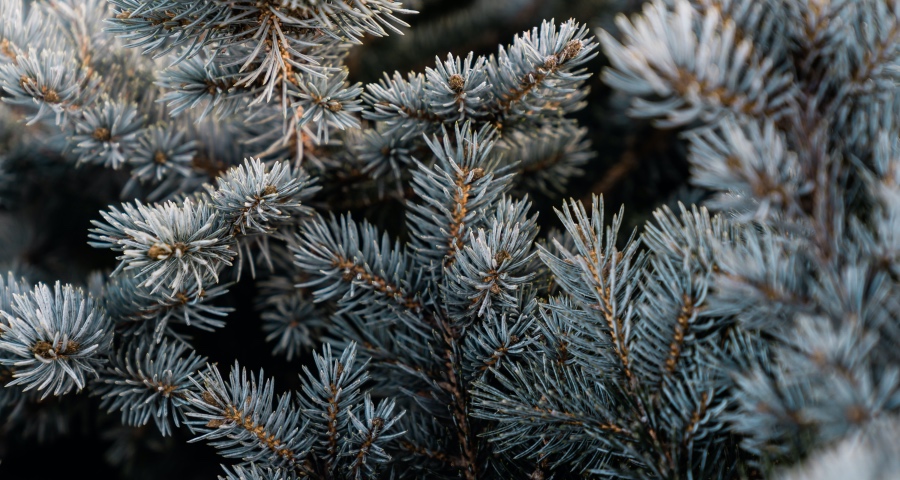 这场疫情对家电产业的影响有多深多久？ 一文解读个中利弊-家电圈官网