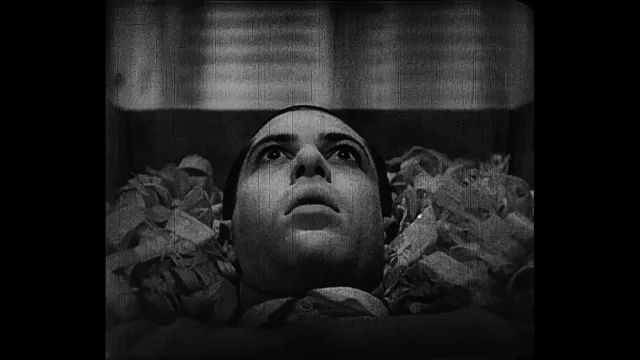 就像卡洛塔如梦魇般折磨着斯考蒂;如幽灵般【原文doppelganger德语