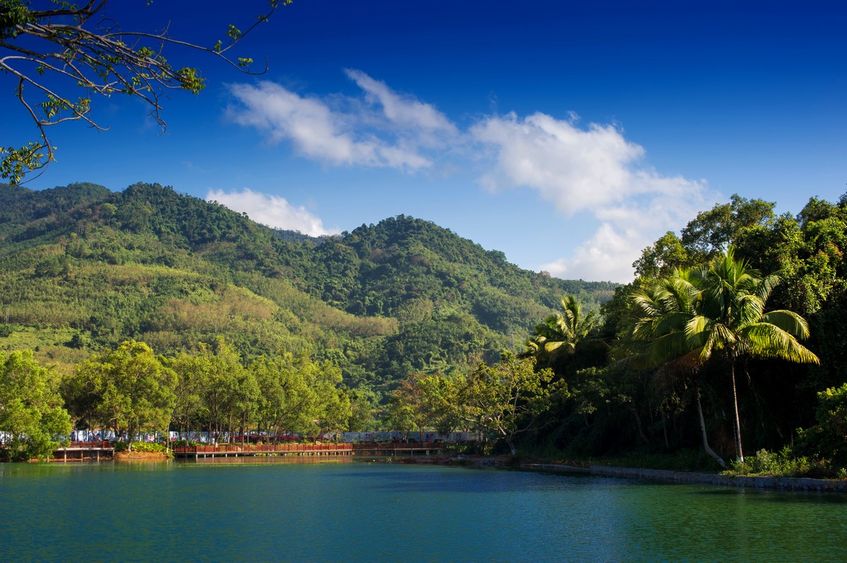 还不快来一起吸吸氧!