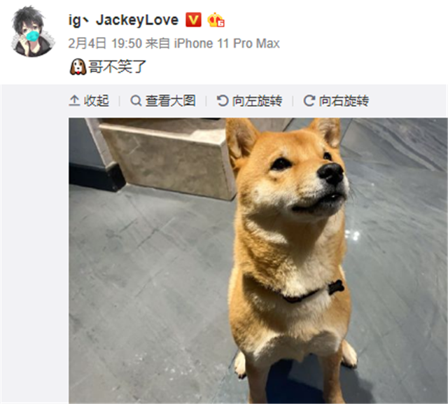 喻文波柴犬表情包图片