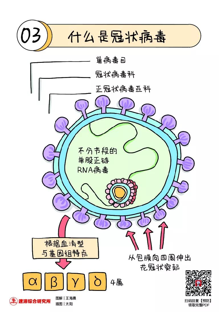 新冠病毒漫画肺炎图片