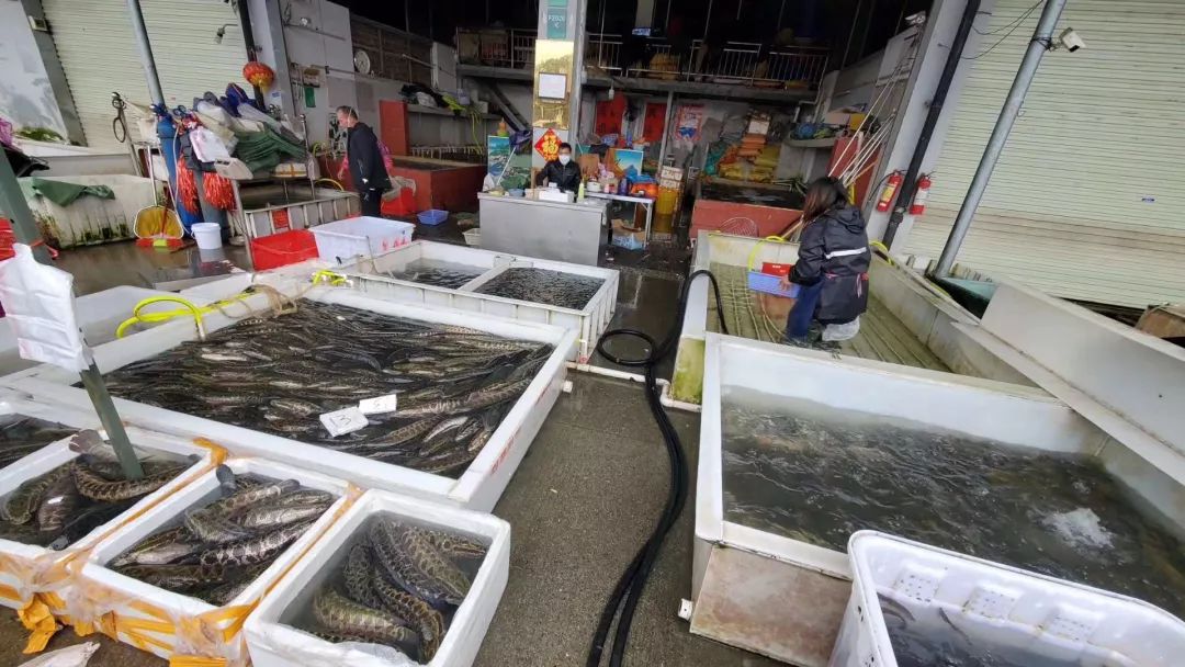 不要慌柳州海吉星未收到任何停业通知各类农产品供应充足