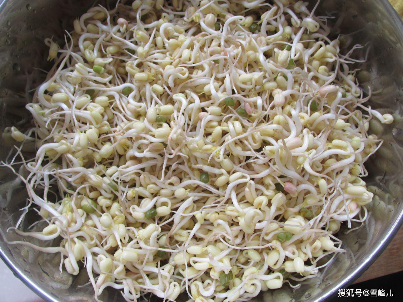 原创非常时期不便出去买菜发绿豆芽3天就能吃不烂根