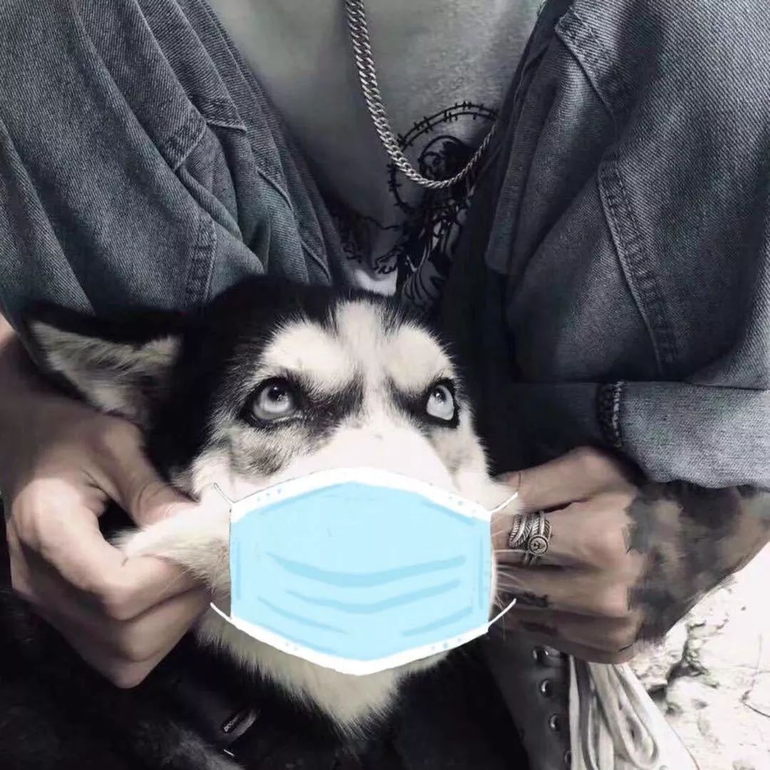 【长职热点】教程,你的头像戴口罩了吗?_地址