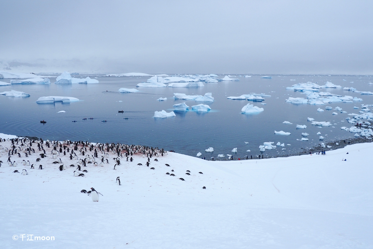 南极自然风光主题壁纸_风景_太平洋电脑网
