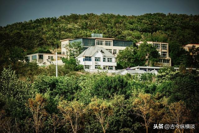 商业大亨突然遭遇变故,谨记祖训到终南山请人,还真发现了不寻常