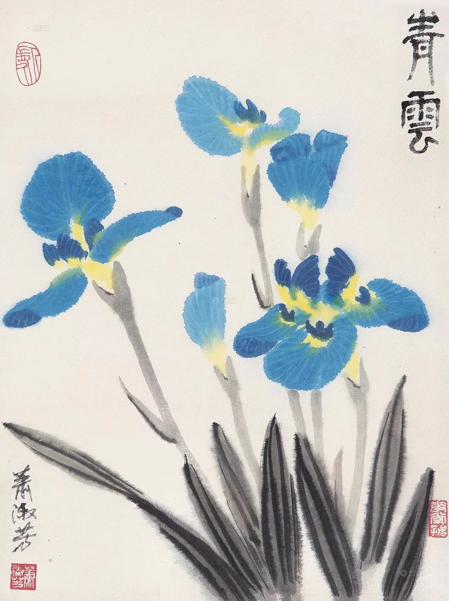 漫步在春天里,邂逅在百花间