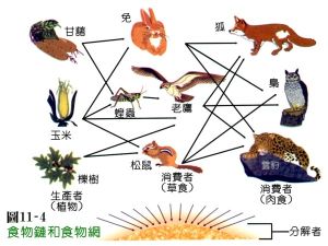 曾經令社會恐慌的非典請尊重食物鏈的自然生存法則