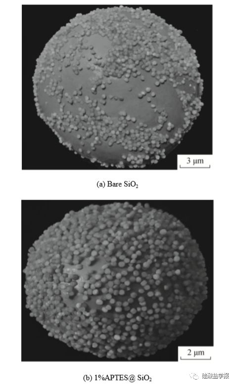 陶瓷二氧化硅颗粒表面硅烷化对其润湿性能的影响