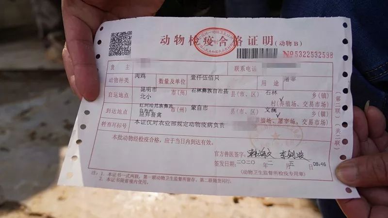 2月5日起,蒙自恢复家禽屠宰加工,但只能集中屠宰,不可现买现杀~_检疫