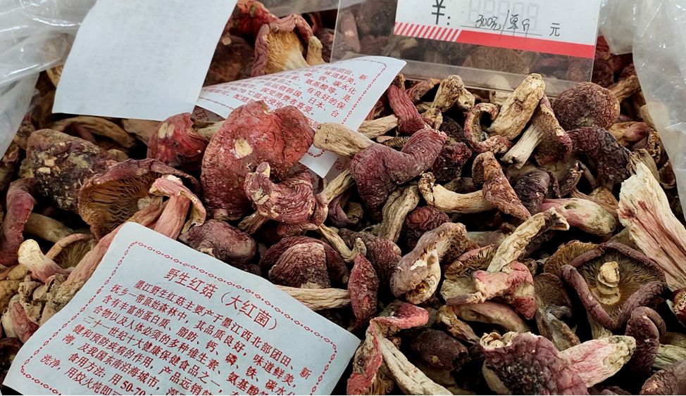 大红菌和鸡肝菌尽管说云南的食用菌类价格高得离谱,可全中国的美食家