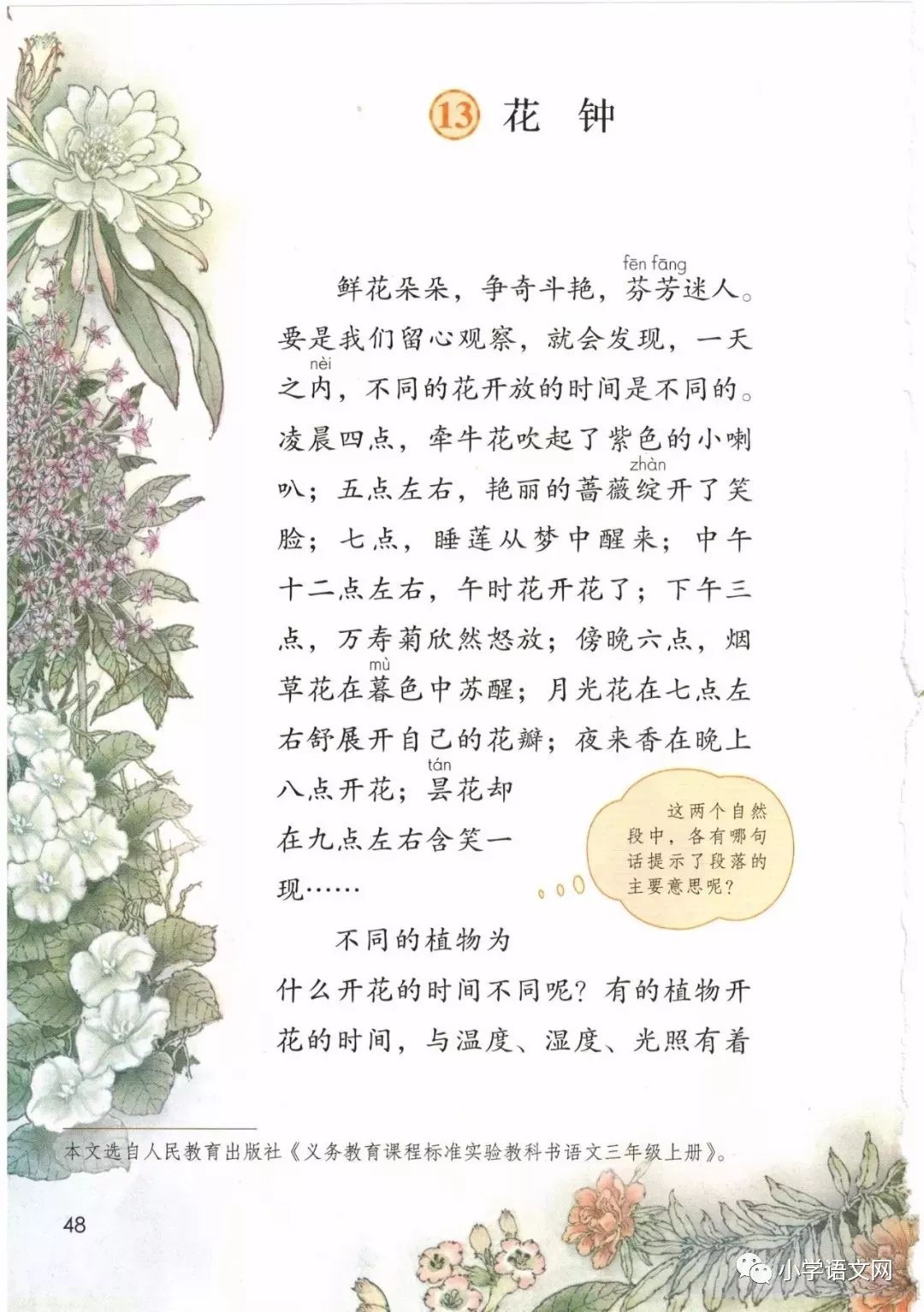 广州夜来香