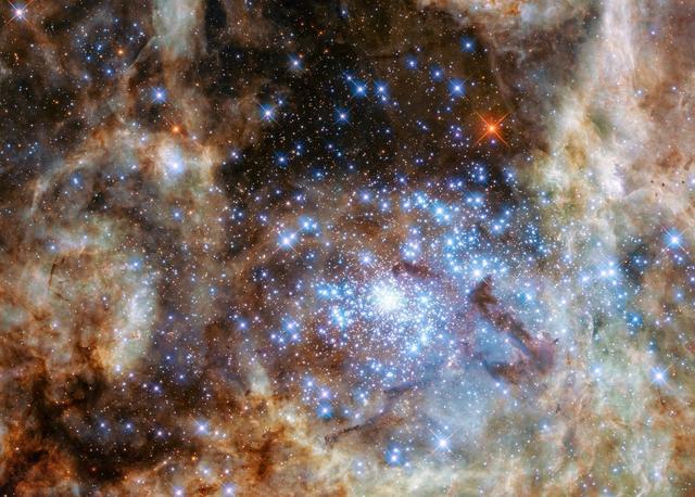大麦哲伦星云东侧边缘的蜘蛛星云包含历史上最著名的超新星