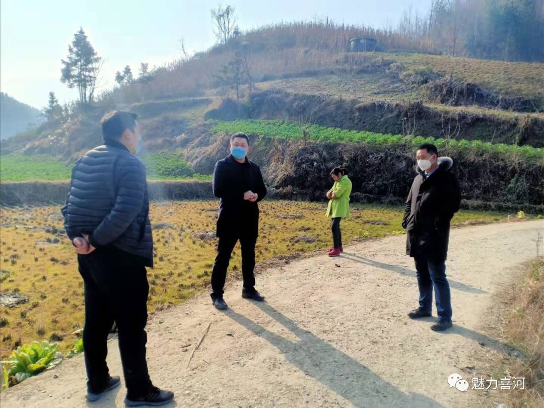 防控疫情安康各级人大代表在行动二