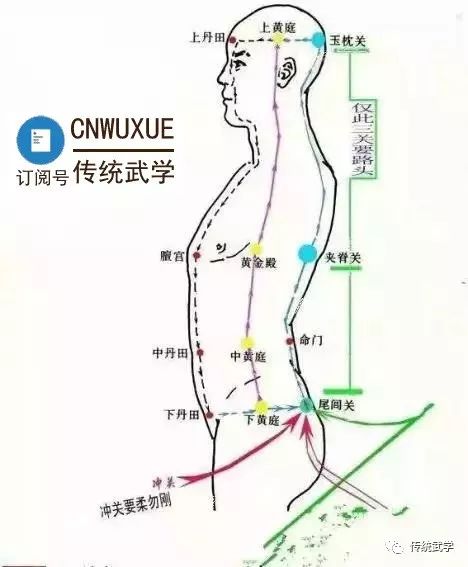 内家拳之论丹田_小腹