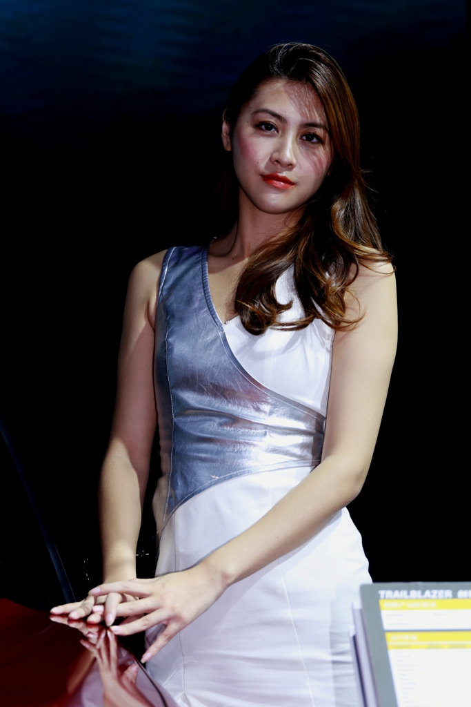 很有气质的车模美女