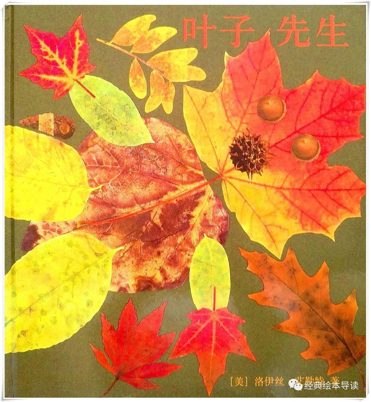 只有捡起落叶才算打开秋天——《叶子先生》导读