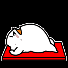 240_240gif 动态图 动图