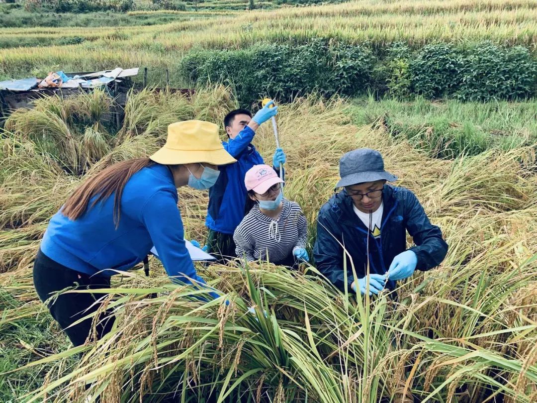 重磅我校教师黄惠川入选第十七届霍英东基金青年教师基金